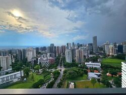 Irwell Hill Residences (D9), Apartment #502825361